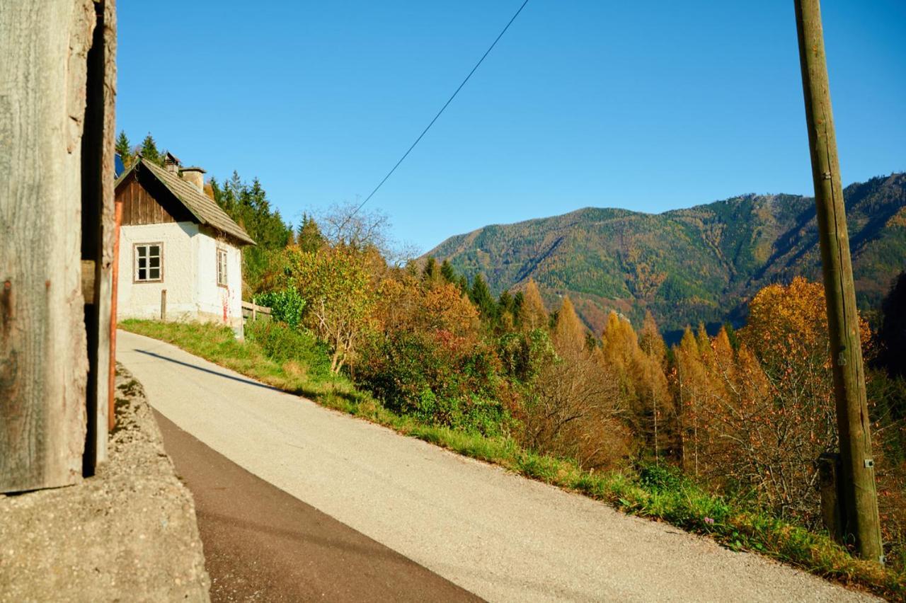 Romantische Ferienhuette Nationalpark Kalkalpen, Sonnig, 2 Schlafzimmer, Wlan Kleinreifling 外观 照片