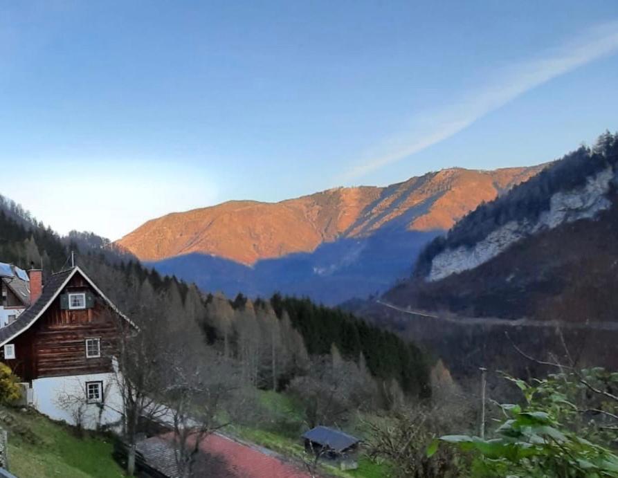 Romantische Ferienhuette Nationalpark Kalkalpen, Sonnig, 2 Schlafzimmer, Wlan Kleinreifling 外观 照片