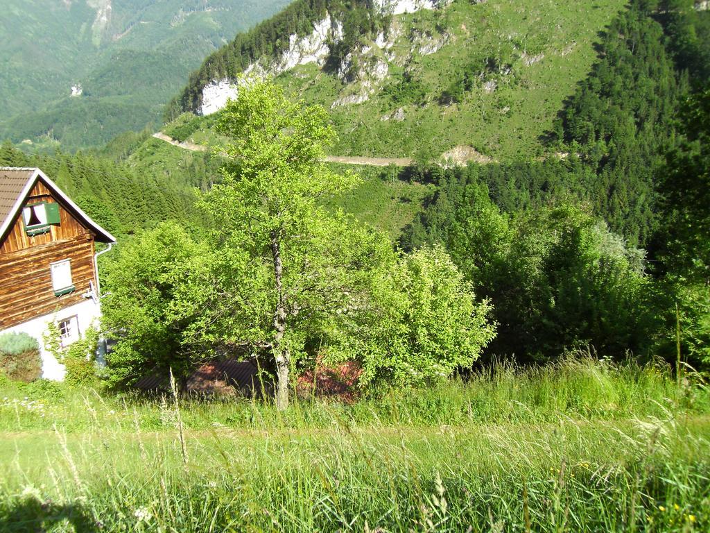 Romantische Ferienhuette Nationalpark Kalkalpen, Sonnig, 2 Schlafzimmer, Wlan Kleinreifling 外观 照片